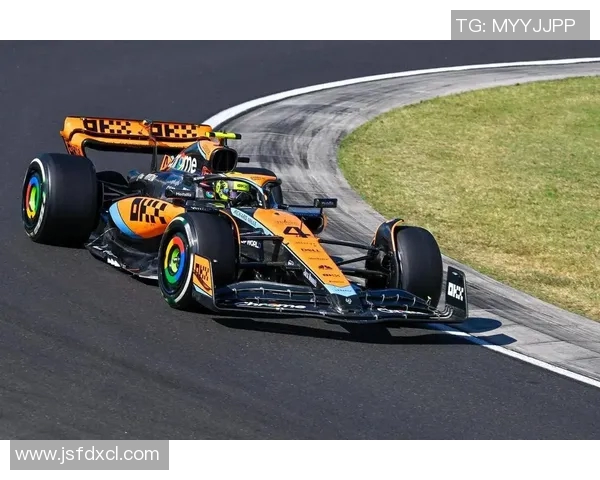 F1赛车技术革新与赛事战略调整的关键案例分析